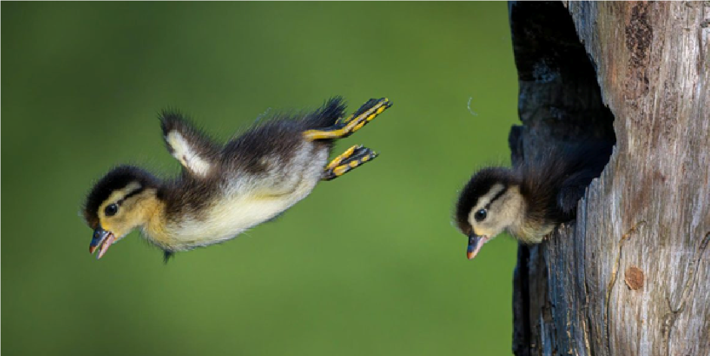 Slideshow image