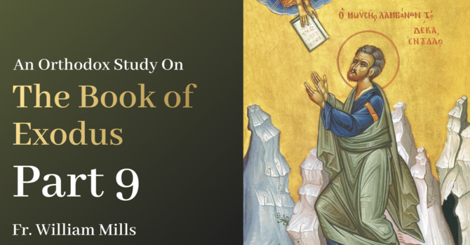 Exodus: Part 9
