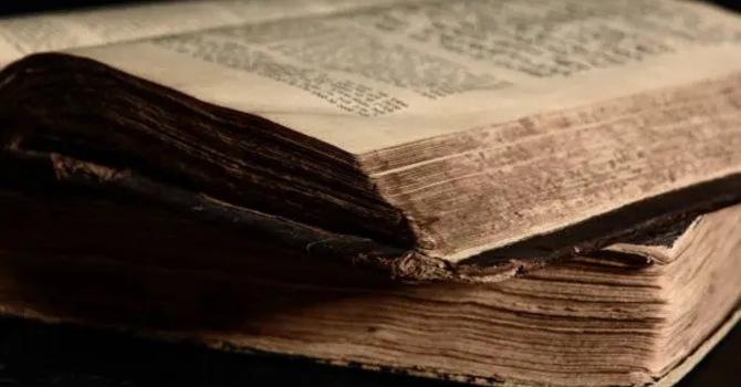 Bible Study
