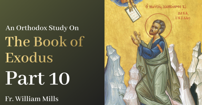 Exodus: Part 10