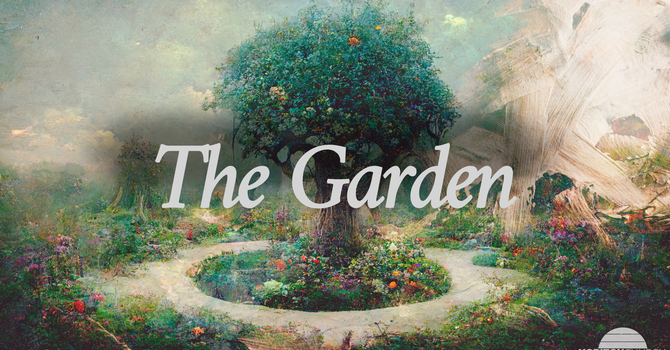 The Garden Enjoyed