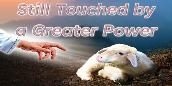 May 24, 2026 - Still  Touched by a Greater Power