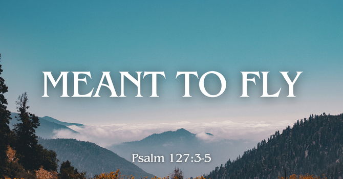 Meant to Fly