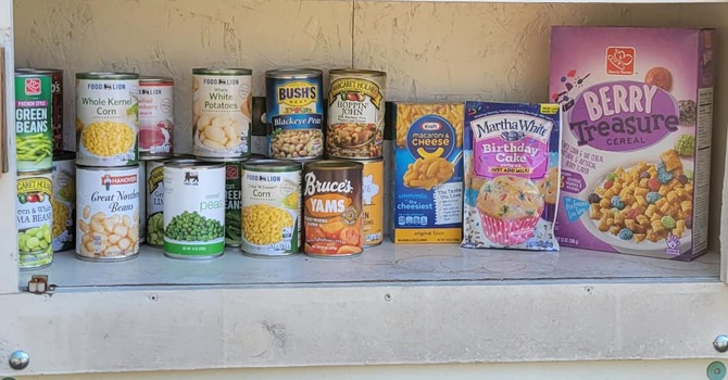 Little Food Pantry