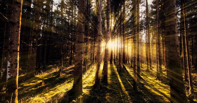 O Church Arise! image