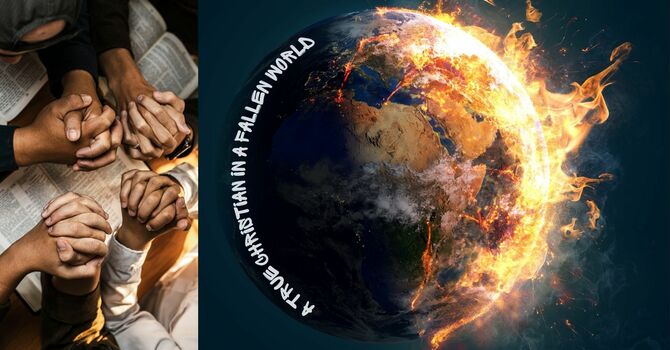 A True Christian in A Fallen World