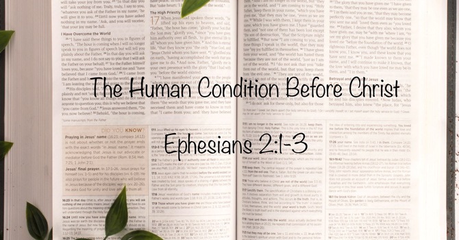 The Human Condition Before Christ - A Study of Ephes...