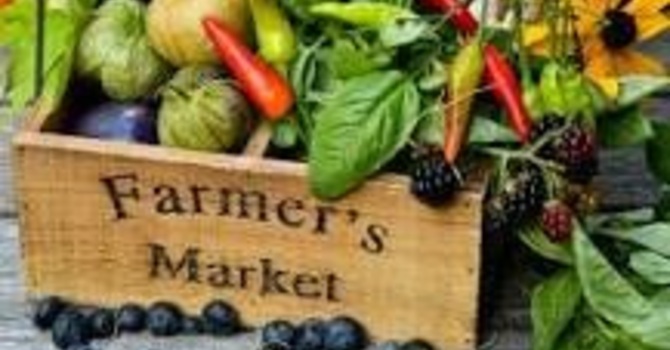 Farmer's Market 
