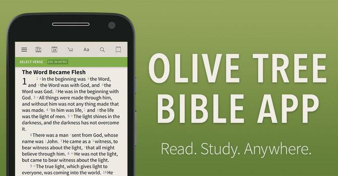 Get Olive Tree