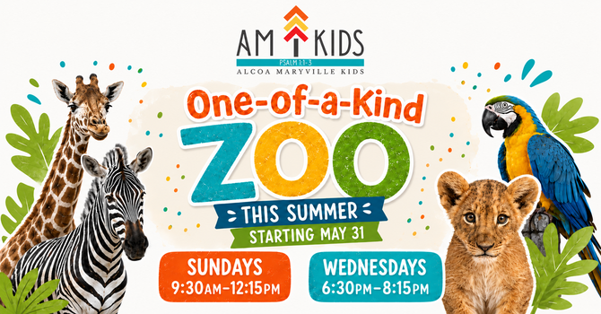 AM Kids One-of-a-Kind Zoo