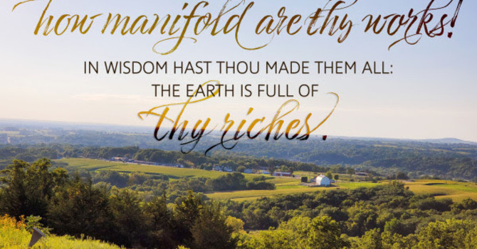 Joey's Tuesday Devotional image
