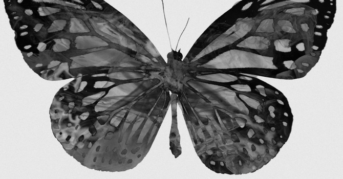 The Transformed Life