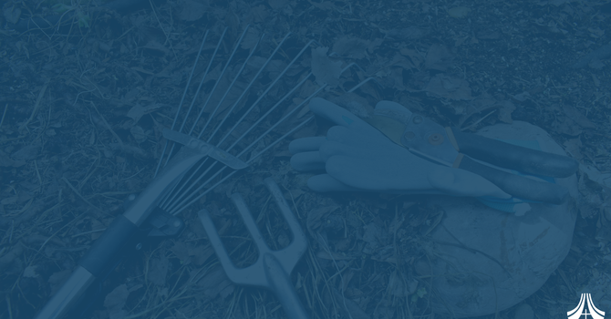 Spring Clean Up image