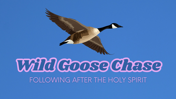 Wild Goose Chase
