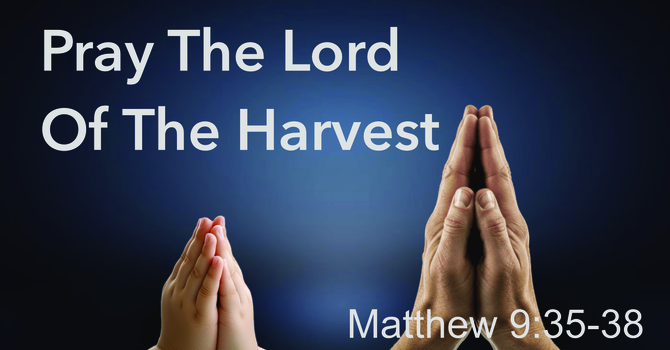 Pray Ye The Lord Of The Harvest