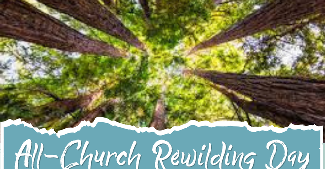 All Church Rewilding Day