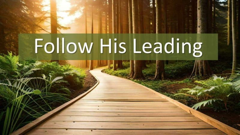 "Follow His Leading"