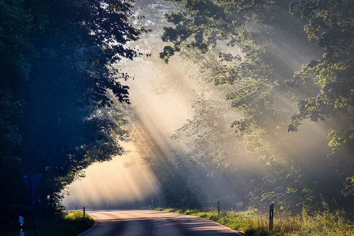 Slideshow image