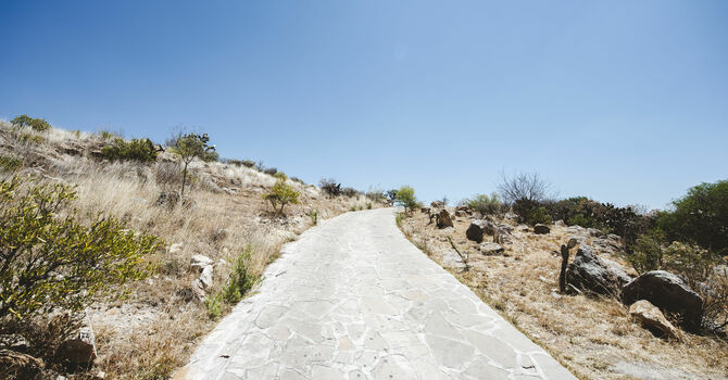 The Road to Jericho