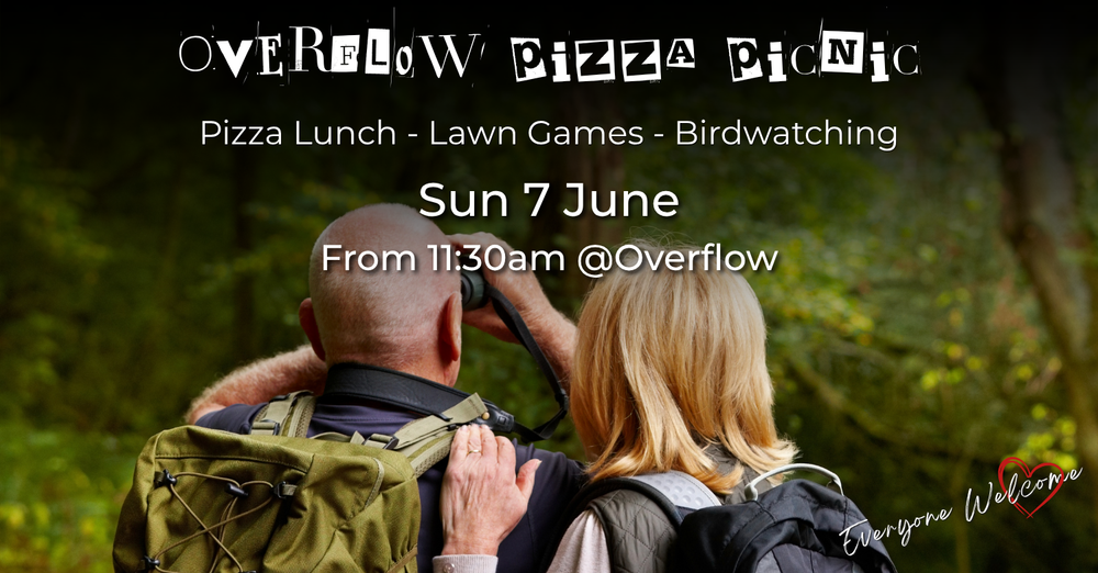 Overflow Pizza Picnic