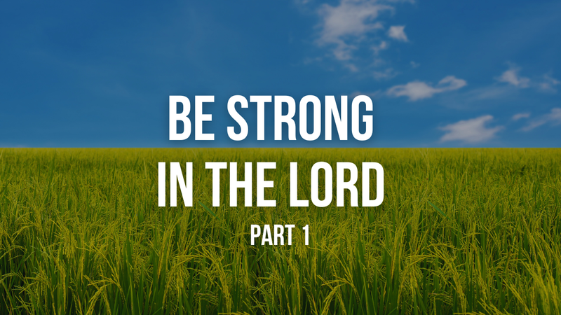 Be Strong in the Lord - Part 1 Endure