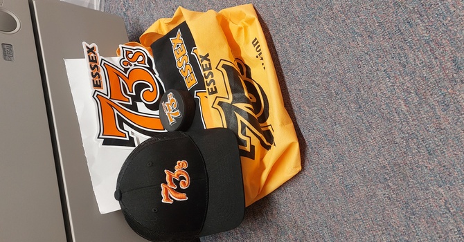 Essex 73s Gear image