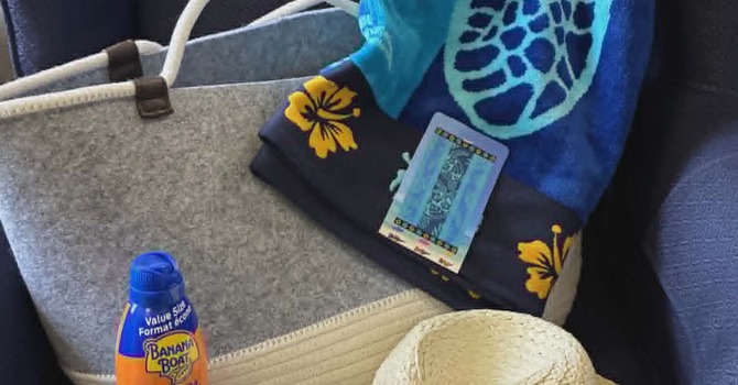 Thirty One Tote Beach Package image