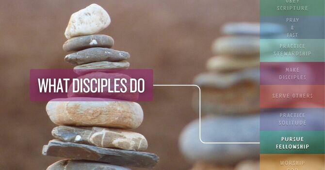 Pursue Fellowship