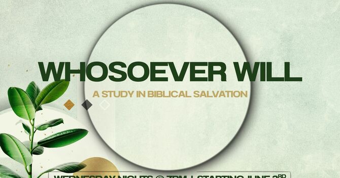 Adult Summer Bible Study