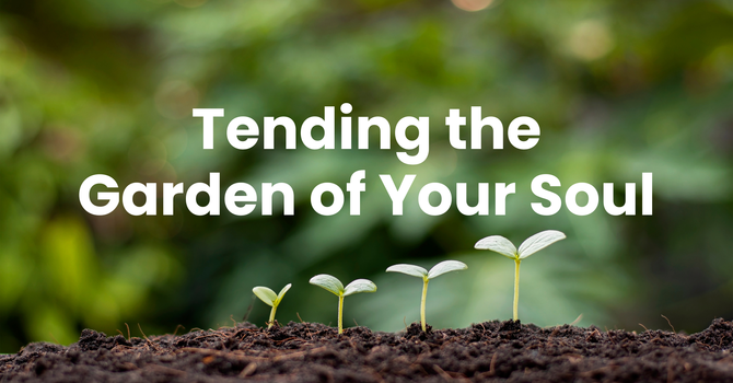 Tending the Garden of your Soul