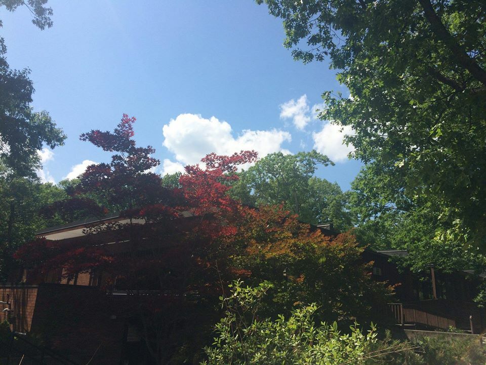 Slideshow image