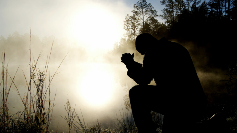 Men and Women in the Church: Part 1