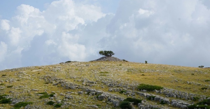 The Gift of Christ's Ascension 