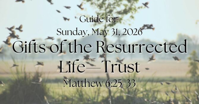 Guide for Sunday, May 31, 2026 image