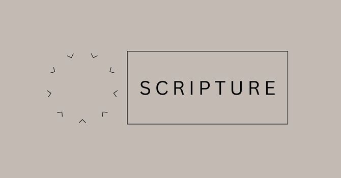 Scripture (4/4) | Practicing the Way of Jesus
