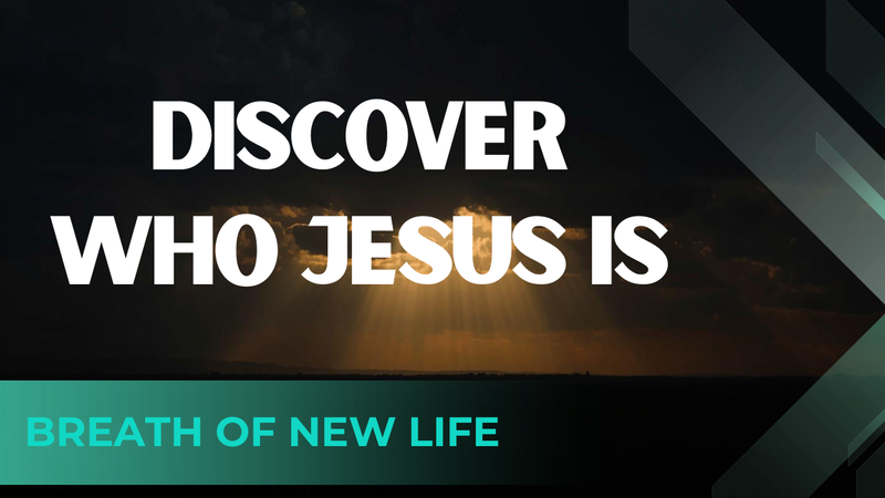 Breath of New Life