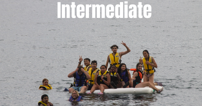 Intermediate