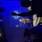 nav image