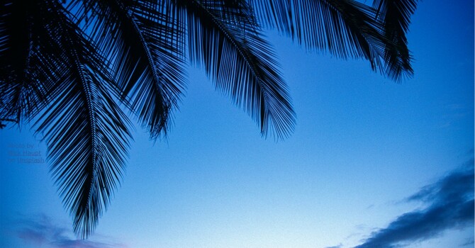 Palm Sunday