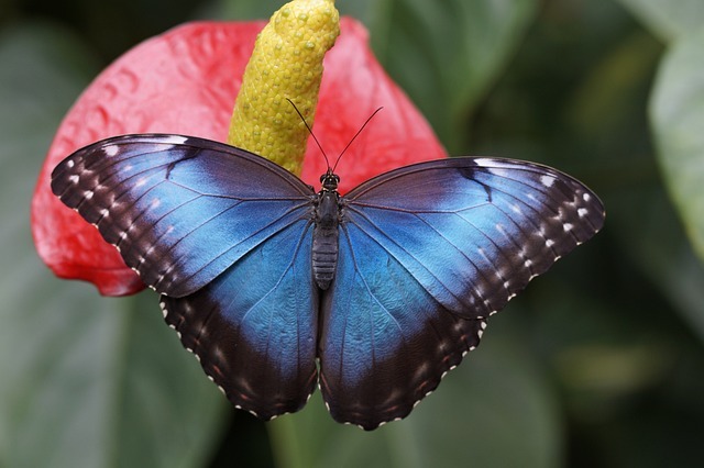 Slideshow image