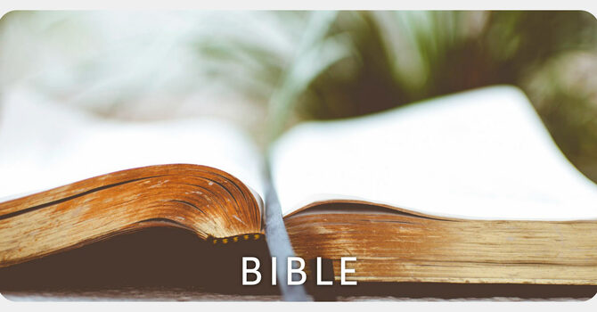 Bible Study