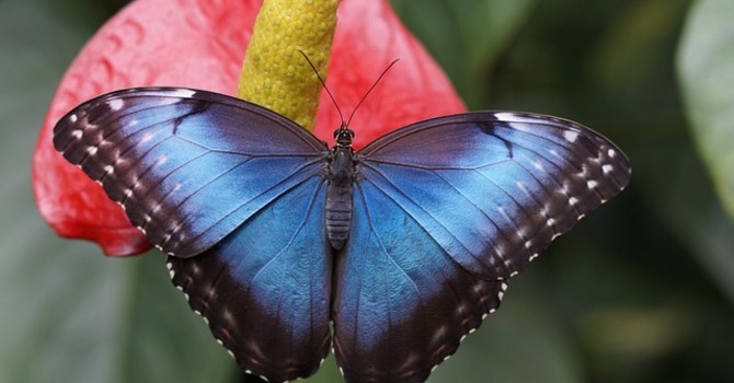 May 26, 2026 Devotion image