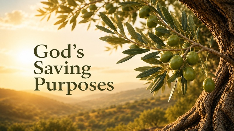 God's Saving Purposes