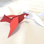 nav image