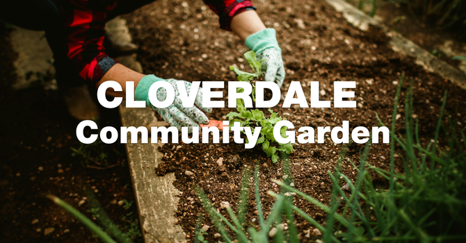 Cloverdale Community Garden image
