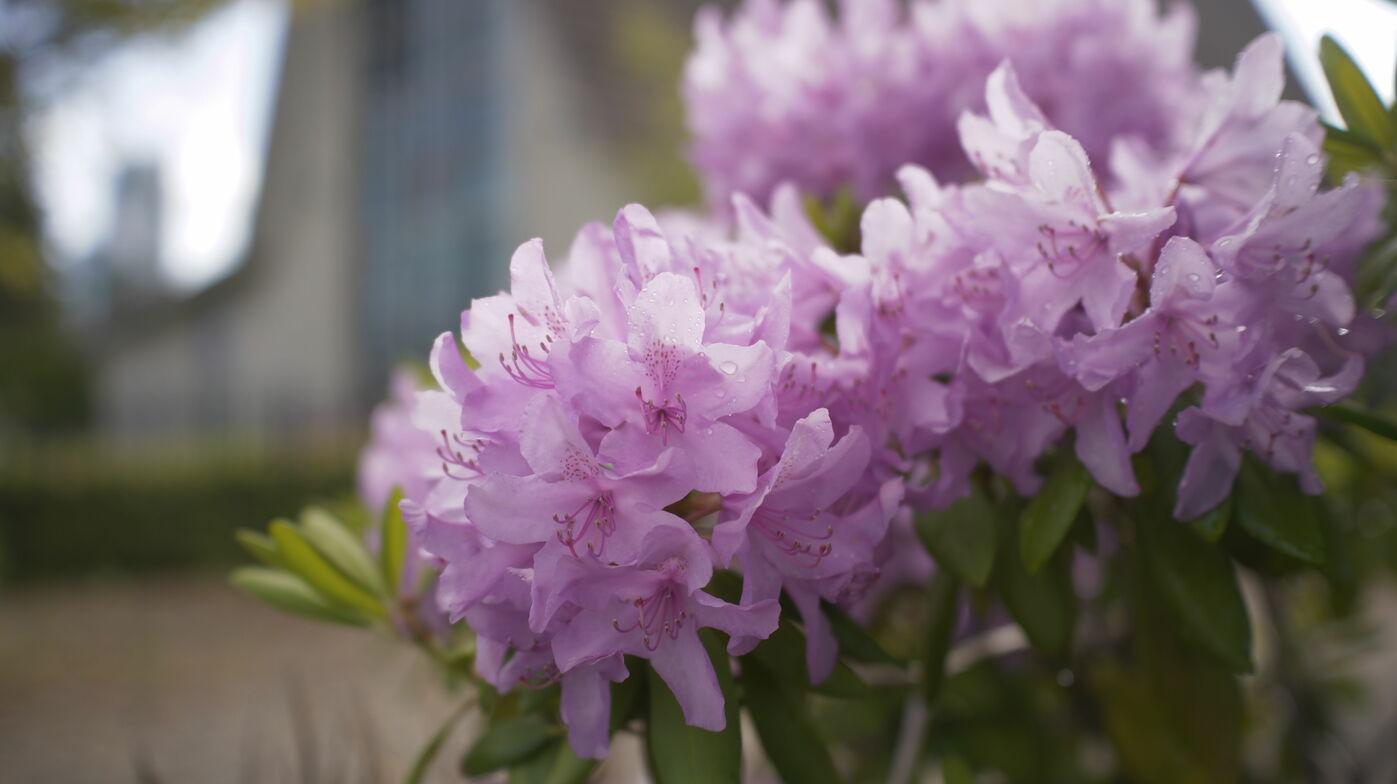 Slideshow image