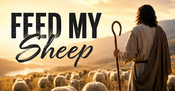 Feed My Sheep