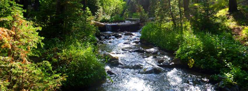 Slideshow image