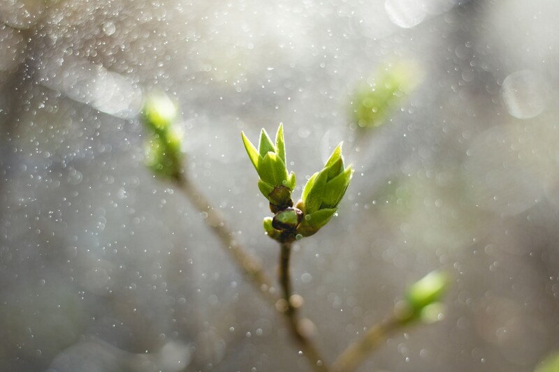 The Groaning Earth