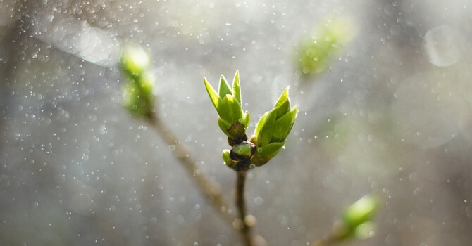 The Groaning Earth